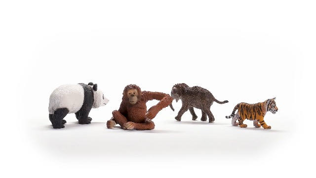 Amazon.com: Schleich Wild Life Asia Starter Set – 4-Piece